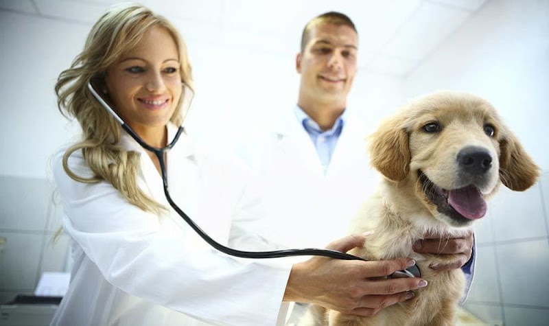 Photo of Parkway Veterinary Hospital