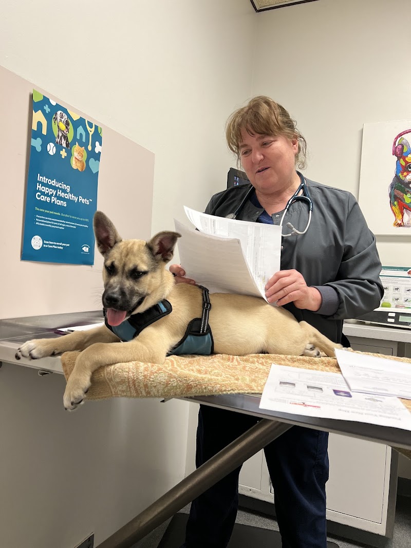 Parkway Veterinary Hospital photo 4