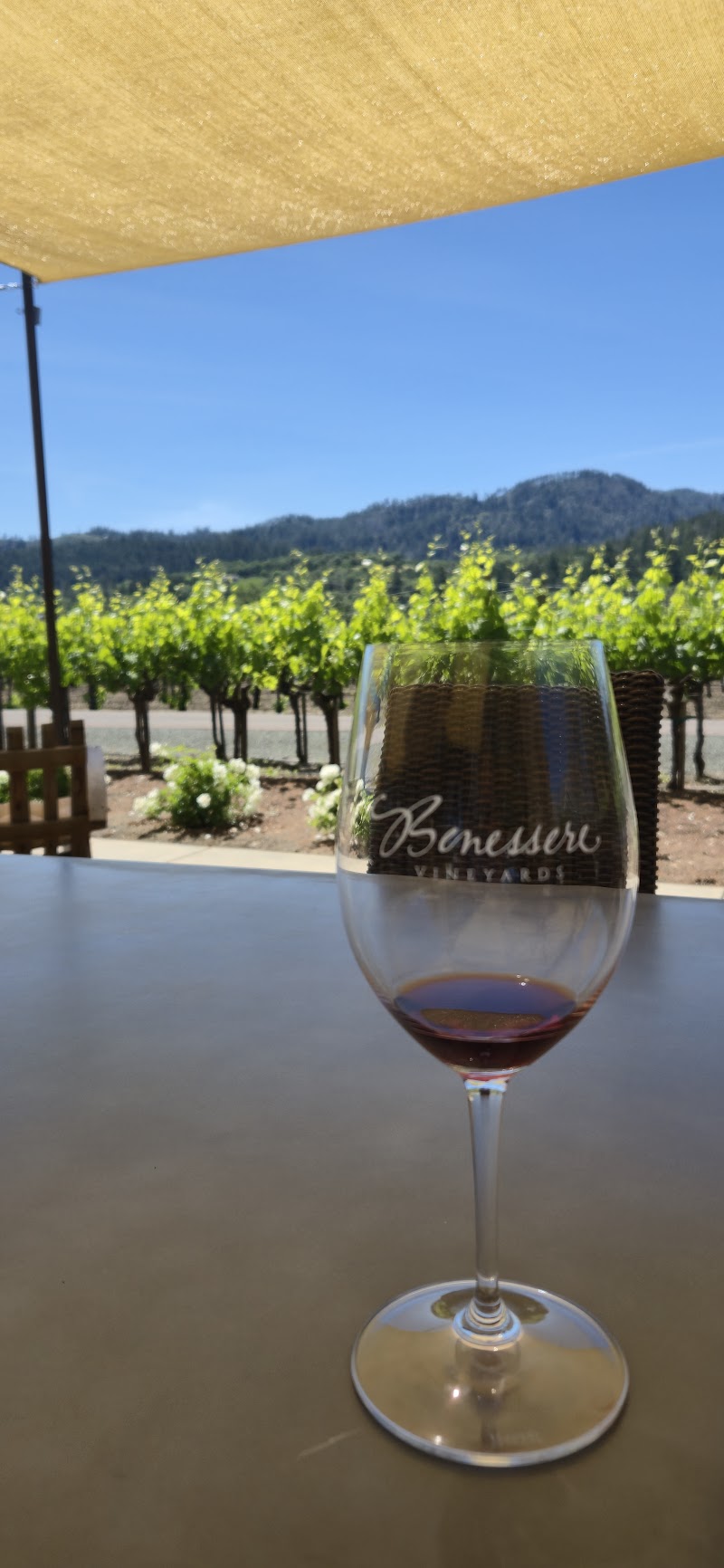 Benessere Vineyards photo 5