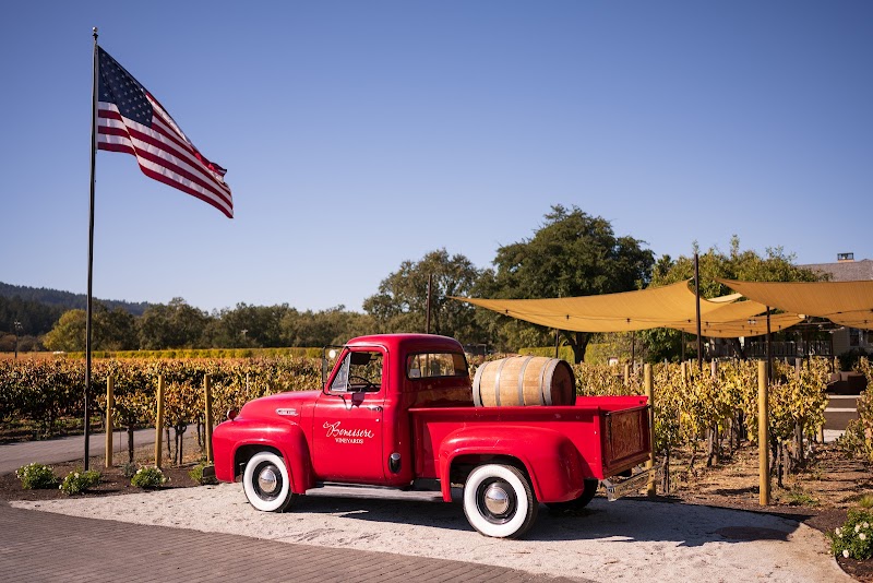 Benessere Vineyards photo 2