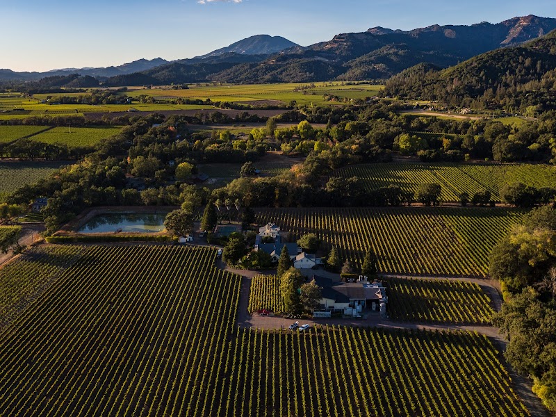 Benessere Vineyards photo 3