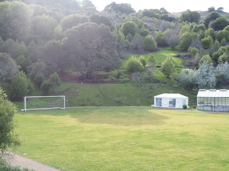 Marin Country Day School photo 4