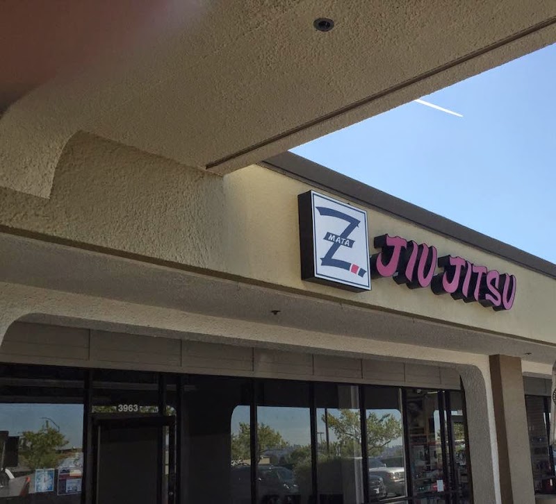 Z Martial Arts Training Academy photo 5