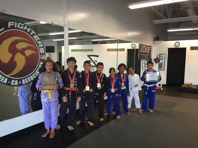Z Martial Arts Training Academy photo 4
