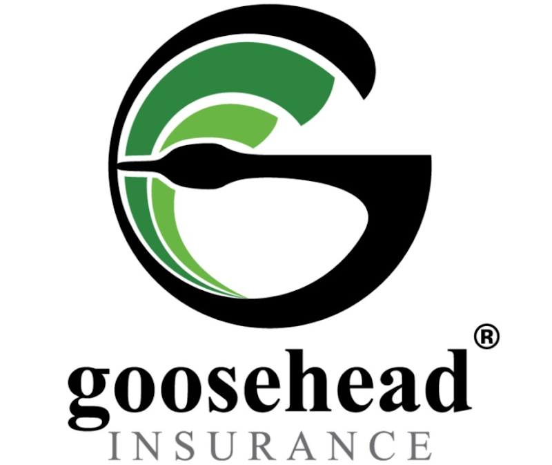 Photo of Goosehead Insurance - Abdullah Al-Hadeethi