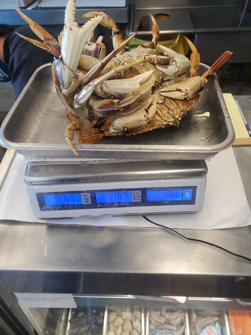 All Shores Seafood Brokerage photo 5