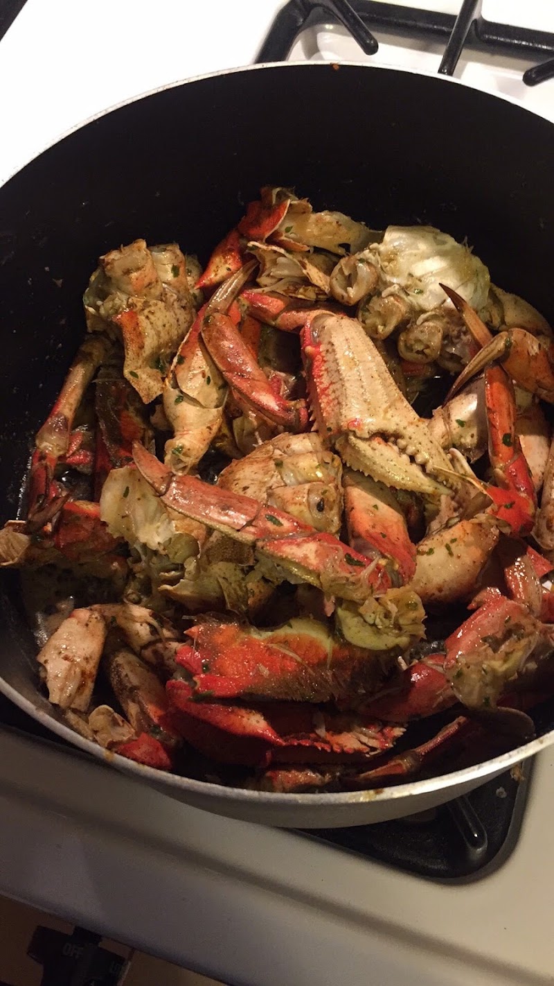 All Shores Seafood Brokerage photo 3