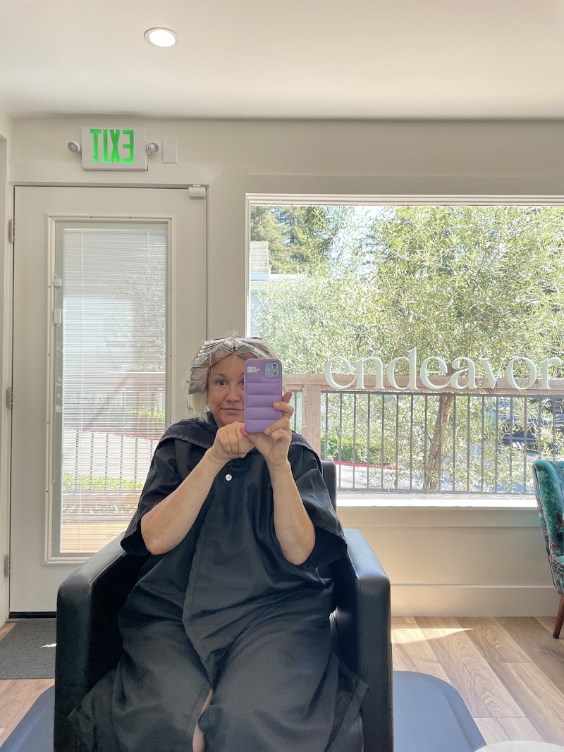 endeavor salon photo 3