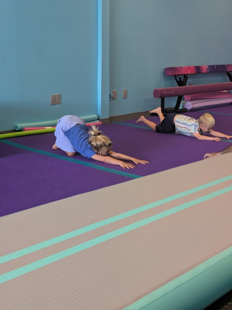 Elite Air Gymnastics photo 3