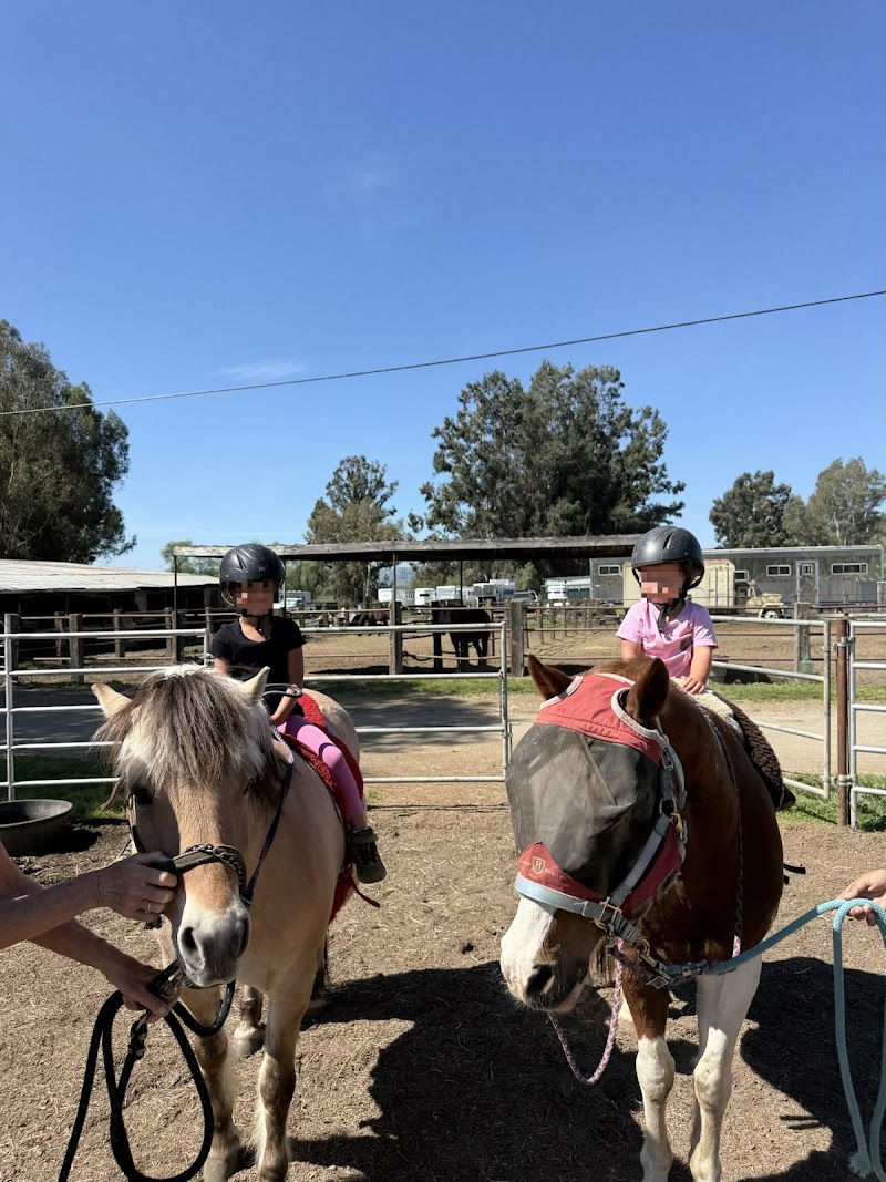 Jeanette Arnaout Training photo 2