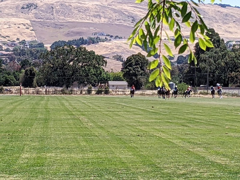 Photo of South Bay Polo