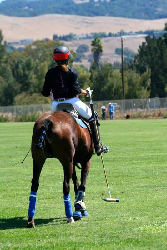 South Bay Polo photo 3