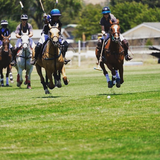 South Bay Polo photo 2