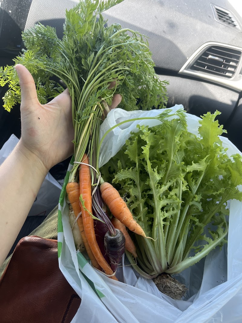 Photo of Peach Pit Farms & More