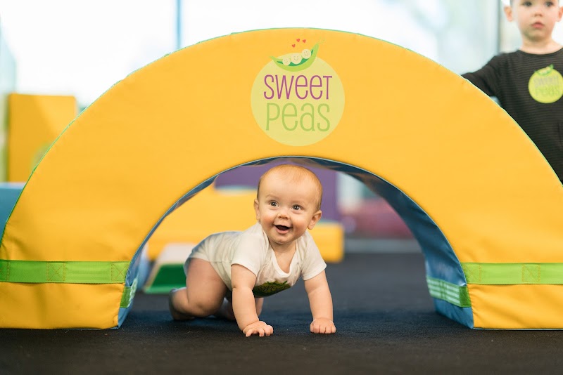 Sweet Peas Gymnastics at Watermelon Swim Brooksville photo 2