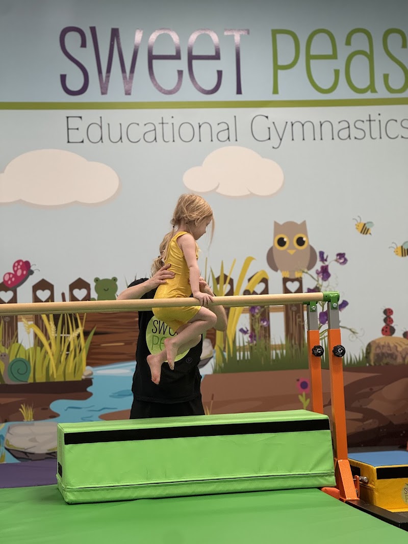 Sweet Peas Gymnastics at Watermelon Swim Brooksville photo 4