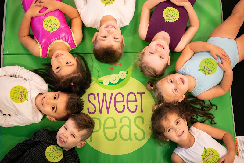 Sweet Peas Gymnastics at Watermelon Swim Brooksville photo 5