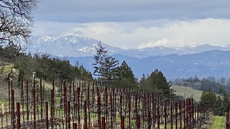 Photo of Hawk Hill Vineyard