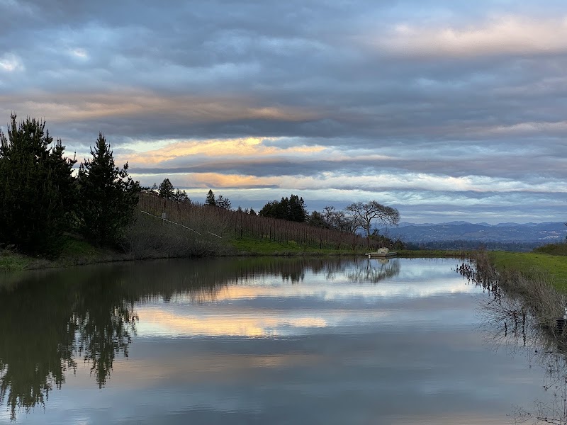 Hawk Hill Vineyard photo 5