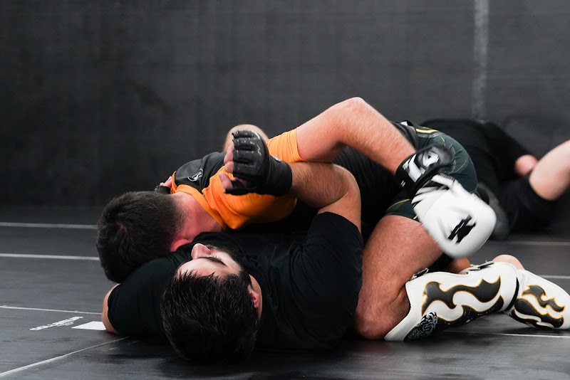 Silverback MMA & Fitness photo 4
