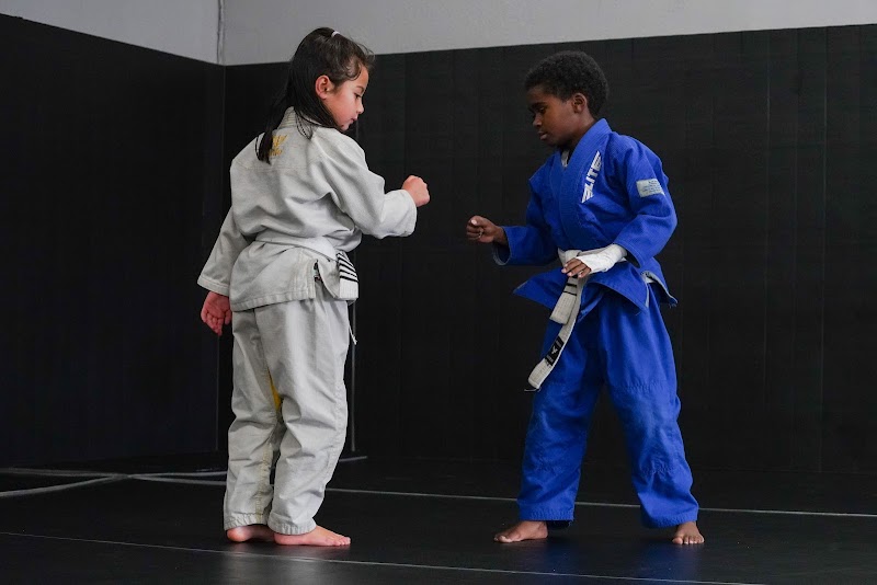 Silverback MMA & Fitness photo 5