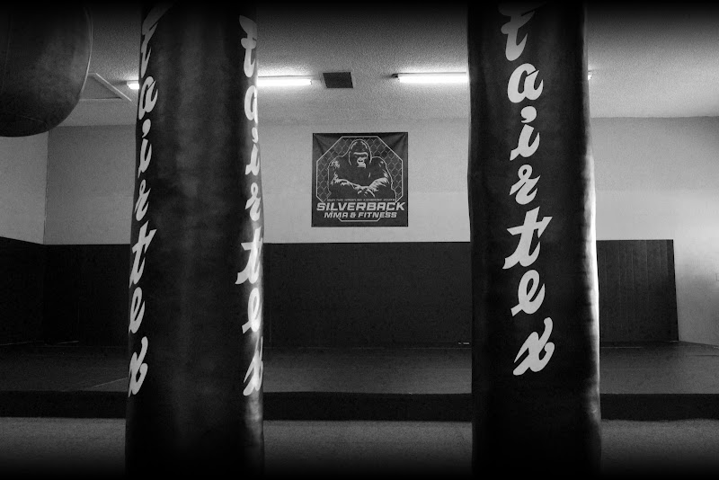 Photo of Silverback MMA & Fitness