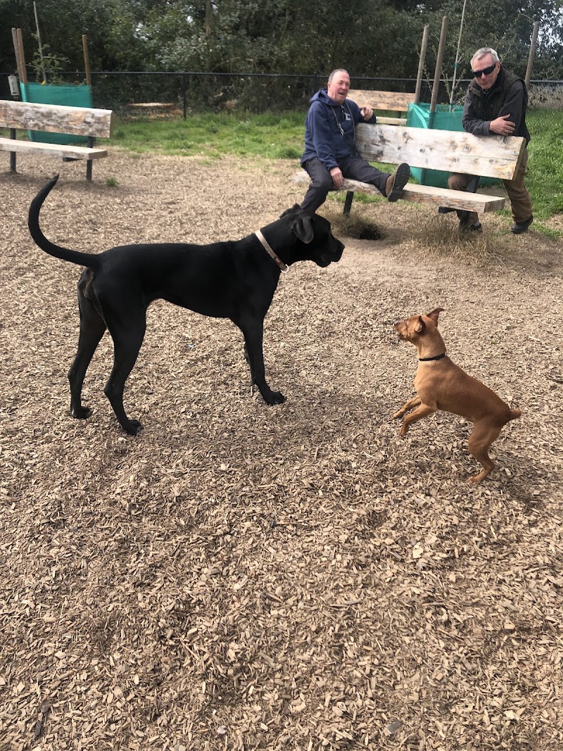 Ragle Ranch Dog Park photo 2