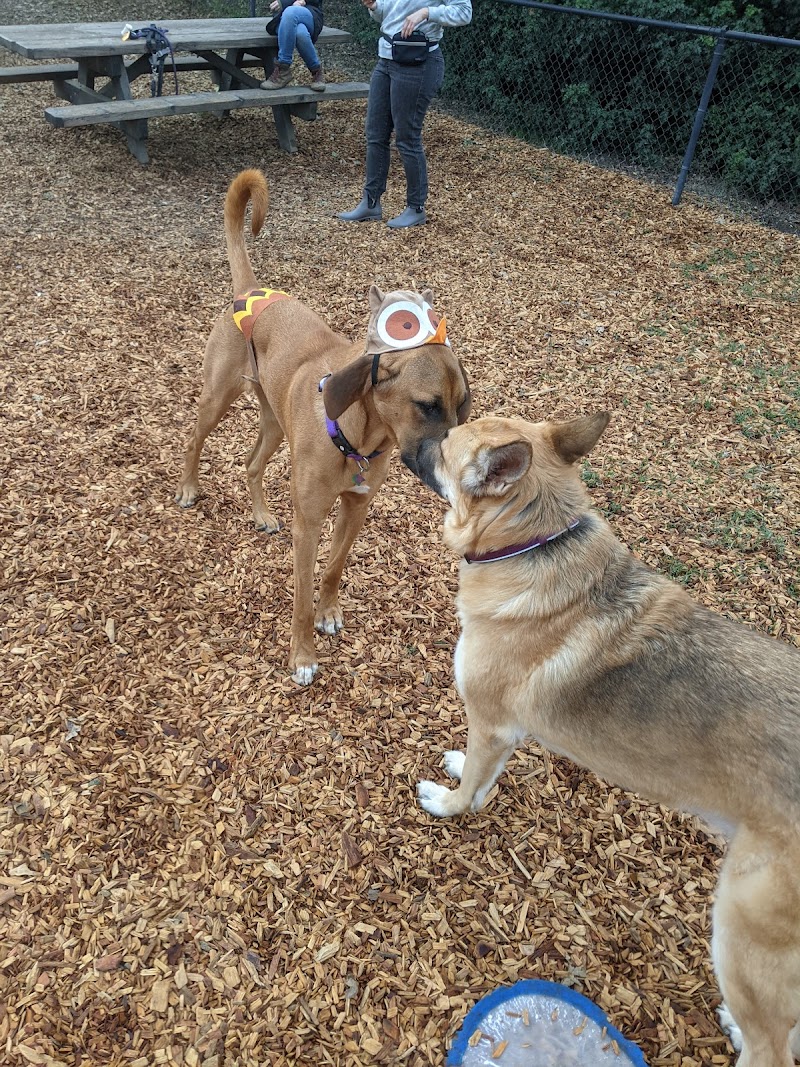 Ragle Ranch Dog Park photo 5