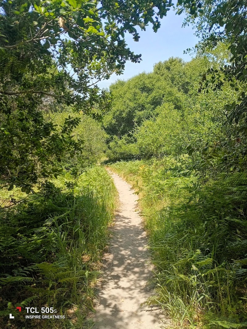 Ragle Ranch Dog Park photo 4