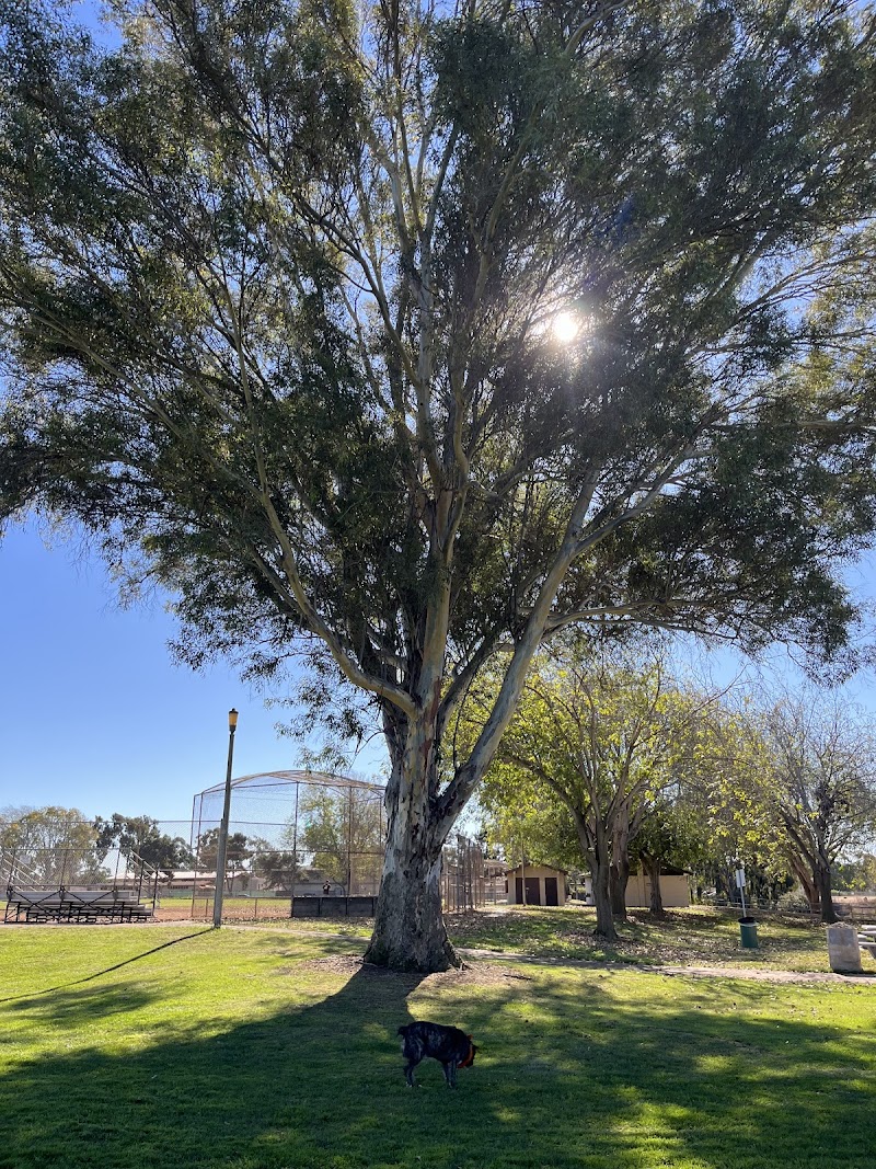 Photo of Kearny Mesa Dog Park