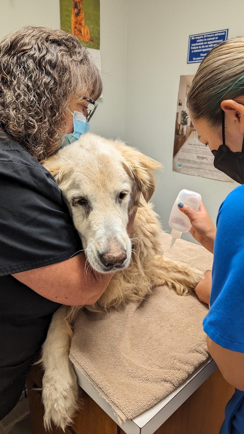 All Creatures Veterinary Hospital photo 5