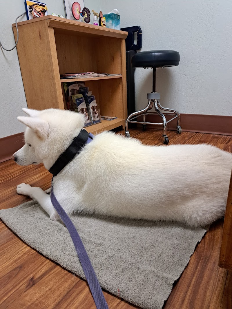 All Creatures Veterinary Hospital photo 4