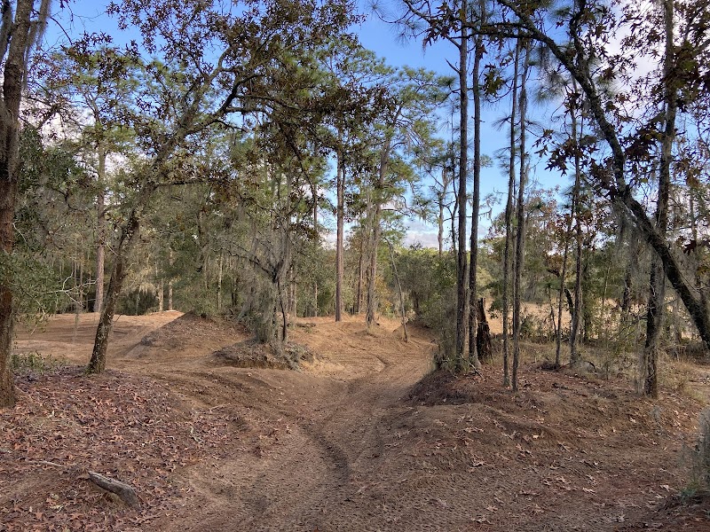Croom Motorcycle Area at Withlacoochee State Forest photo 3