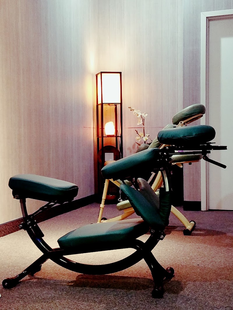 Acupressure MLD photo 4