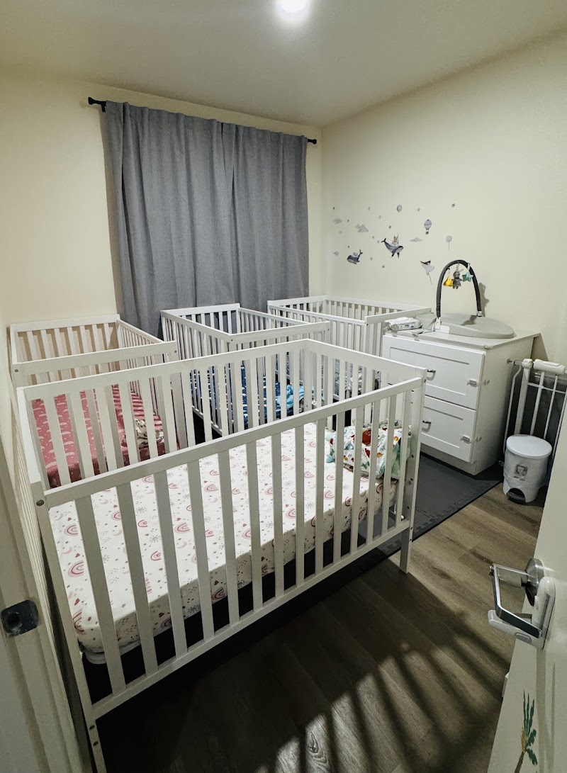 Baby Whale Child Care photo 5