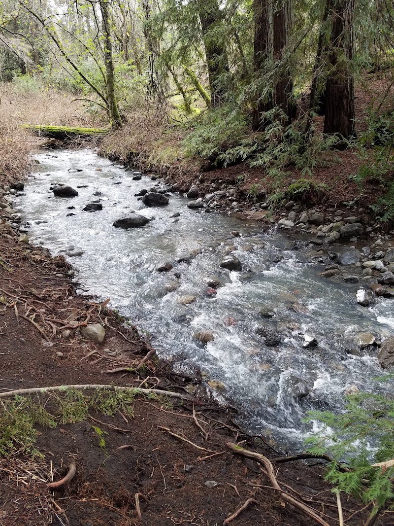 Rancho de Calistoga photo 2