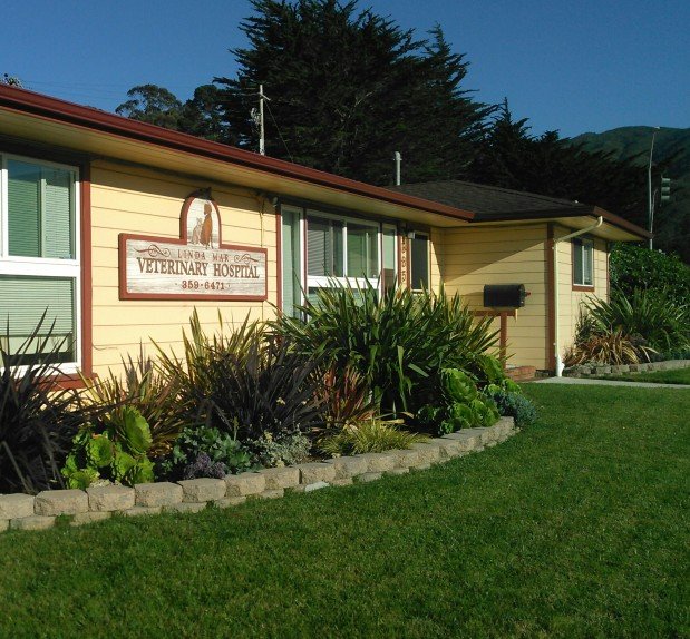 Photo of Linda Mar Veterinary Hospital
