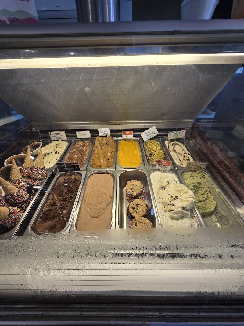 Larry's Ice Cream & Gelatos photo 3