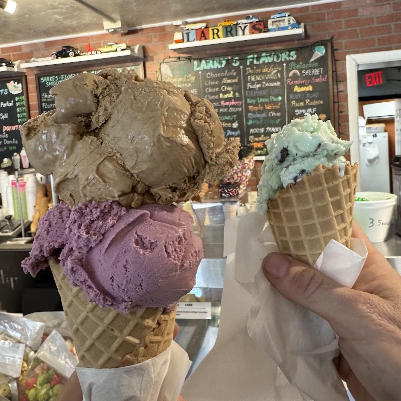 Larry's Ice Cream & Gelatos photo 4