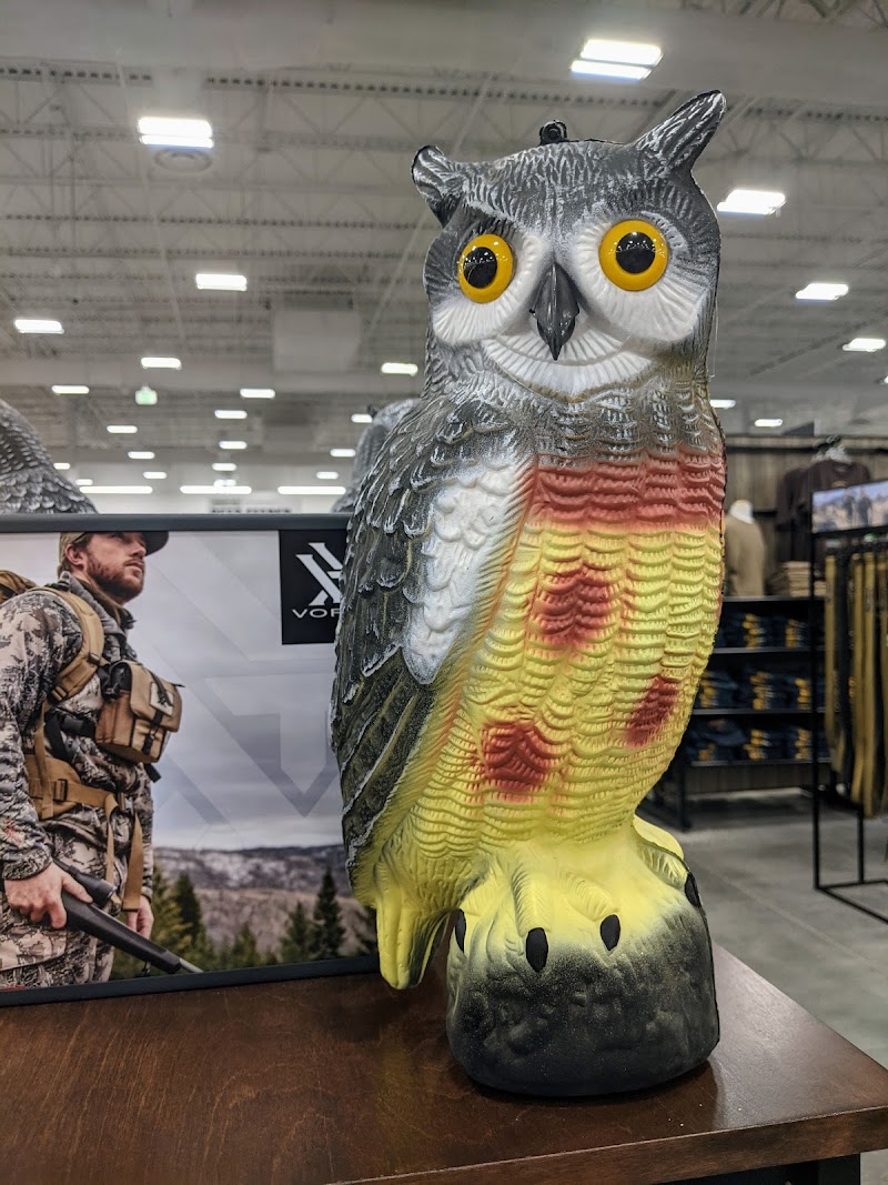 Sportsman's Warehouse photo 3