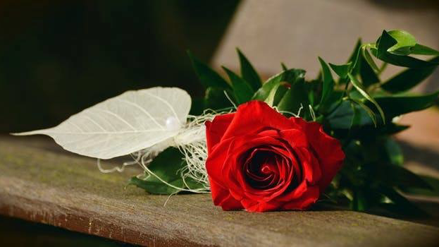 Photo of Rose Family Funeral Home & Cremation