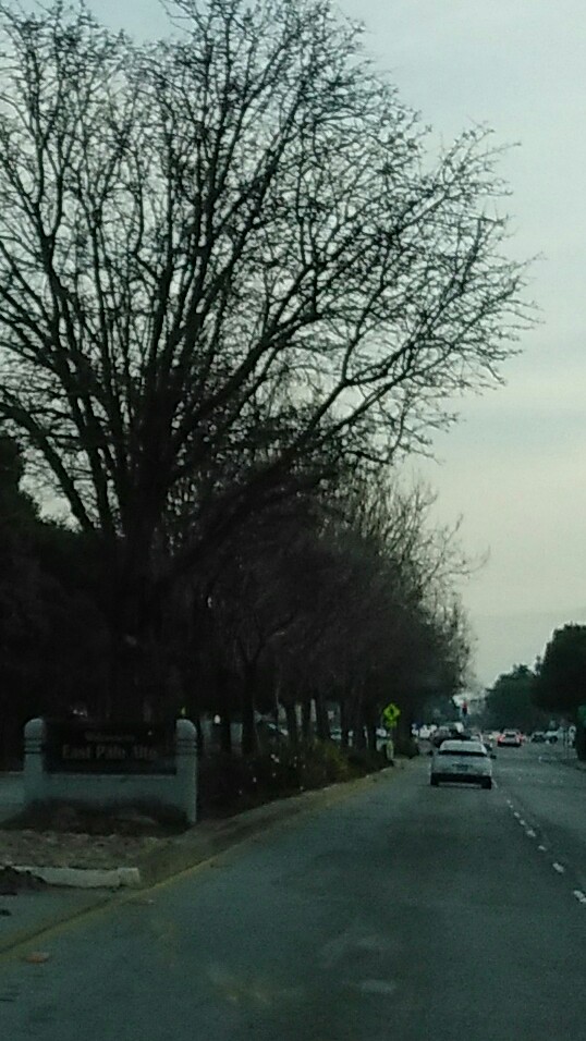 East Palo Alto photo 3