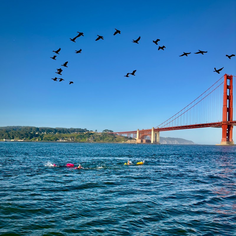 Pacific Open Water Swim Co. photo 2