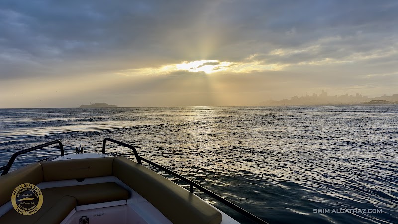 Pacific Open Water Swim Co. photo 5