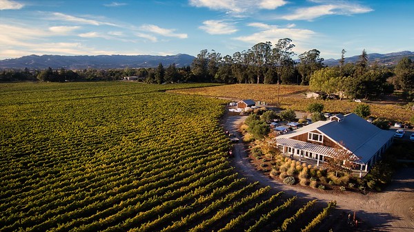 Sangiacomo Vineyards photo 3
