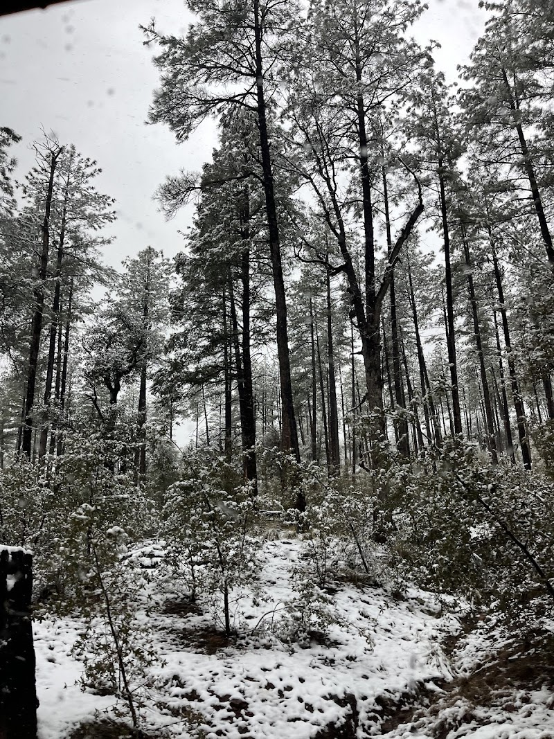 Shadow Rim Ranch photo 3