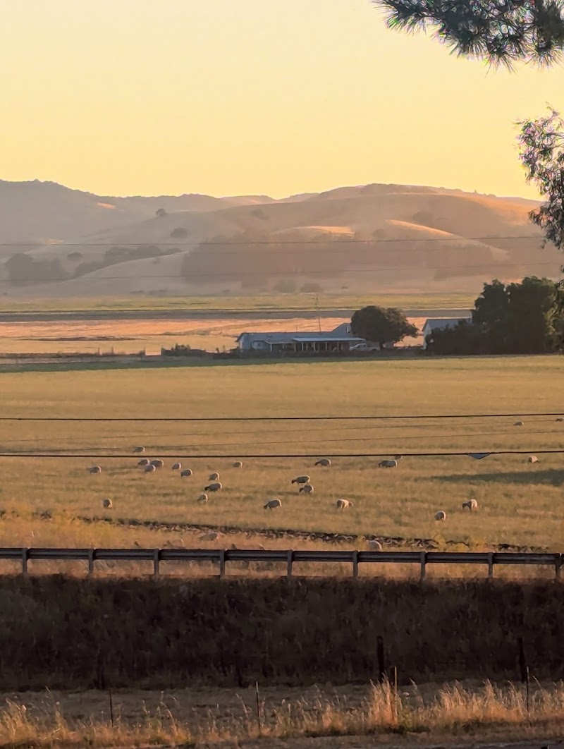 Silver Penny Farm photo 3