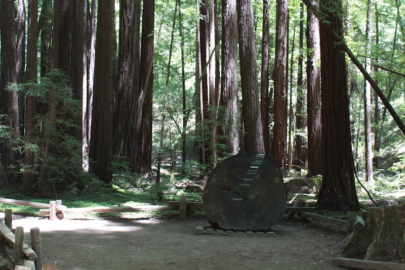 Colonel Armstrong Tree photo 2