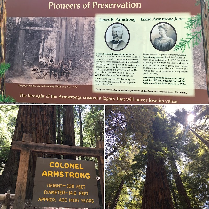 Colonel Armstrong Tree photo 3