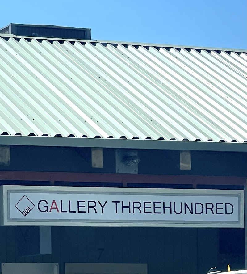 Photo of Gallery 300